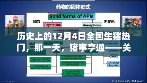 比张比李 第3页