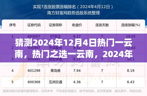 2024年12月4日云南热门预测与深度评测