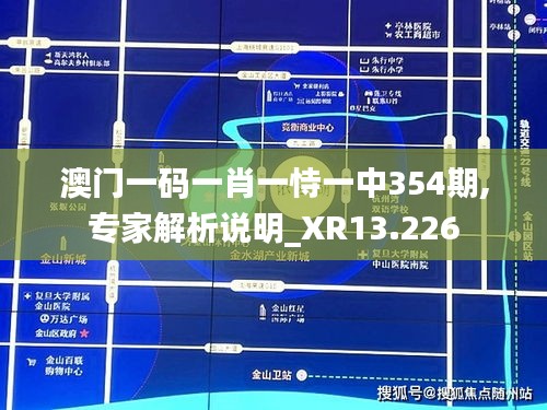 澳门一码一肖一恃一中354期,专家解析说明_XR13.226