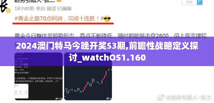 2024澳门特马今晚开奖53期,前瞻性战略定义探讨_watchOS1.160