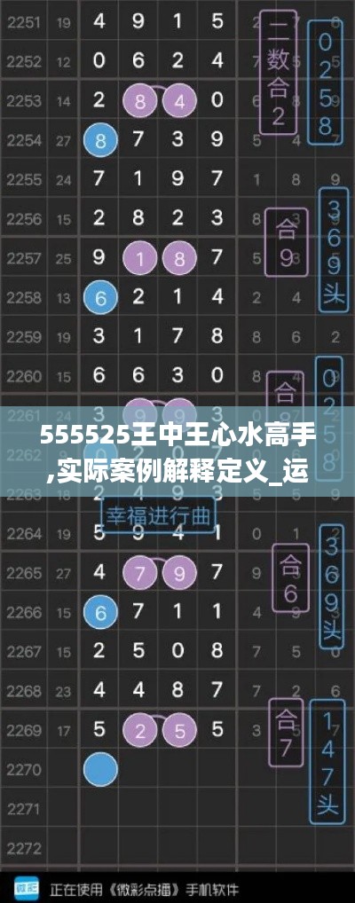 555525王中王心水高手,实际案例解释定义_运动版2.106