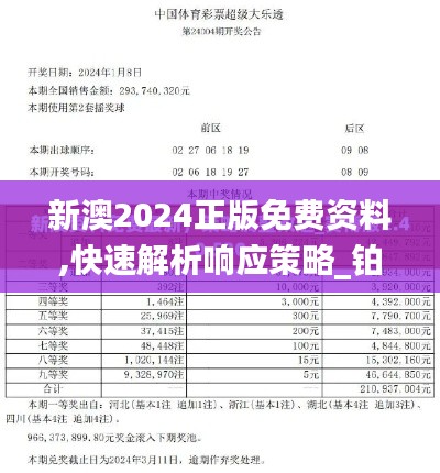 新澳2024正版免费资料,快速解析响应策略_铂金版4.995