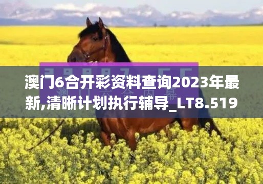 澳门6合开彩资料查询2023年最新,清晰计划执行辅导_LT8.519