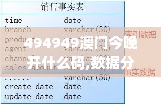 494949澳门今晚开什么码,数据分析解释定义_SHD3.821