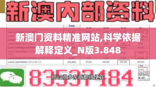 新澳门资料精准网站,科学依据解释定义_N版3.848