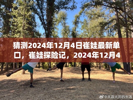 崔娃探险记，2024年12月4日自然美景之旅揭秘