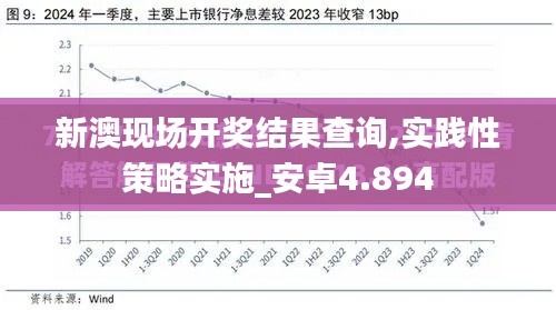 新澳现场开奖结果查询,实践性策略实施_安卓4.894