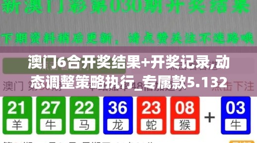 澳门6合开奖结果+开奖记录,动态调整策略执行_专属款5.132