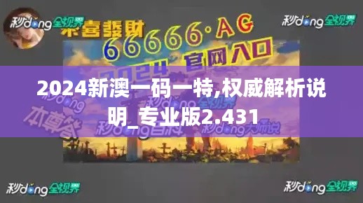 2024新澳一码一特,权威解析说明_专业版2.431