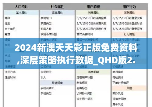 2024新澳天天彩正版免费资料,深层策略执行数据_QHD版2.431