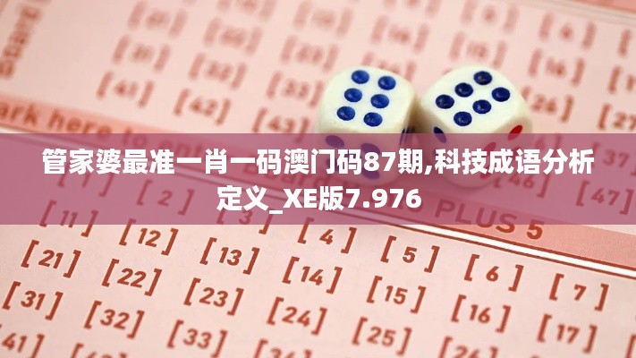 管家婆最准一肖一码澳门码87期,科技成语分析定义_XE版7.976