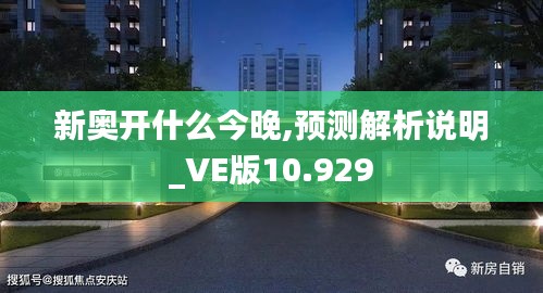 新奥开什么今晚,预测解析说明_VE版10.929