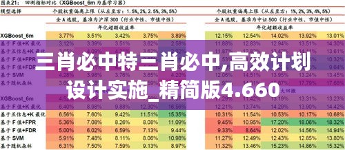 三肖必中特三肖必中,高效计划设计实施_精简版4.660