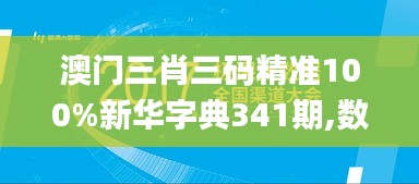 澳门三肖三码精准100%新华字典341期,数据导向设计方案_专属版8.969