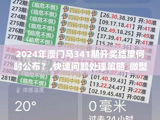 2024年澳门马341期开奖结果何时公布？,快速问题处理策略_微型版4.361