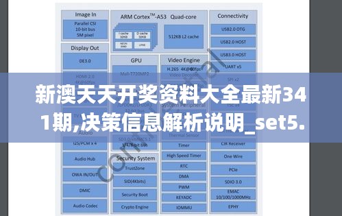 新澳天天开奖资料大全最新341期,决策信息解析说明_set5.219