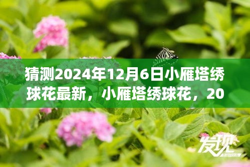 小雁塔绣球花，历史交响中的2024年璀璨绽放