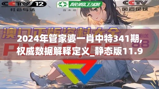 2024年管家婆一肖中特341期,权威数据解释定义_静态版11.991