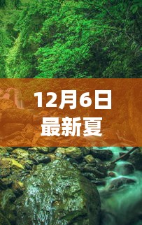 夏日全能学生，自然美景探秘之旅，寻找内心的宁静与平和