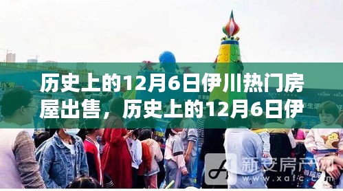 历史上的12月6日伊川热门房屋出售深度解析与推荐