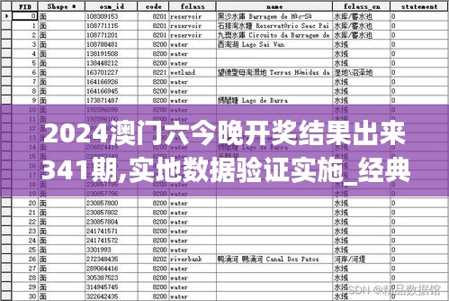 2024澳门六今晚开奖结果出来341期,实地数据验证实施_经典版7.366