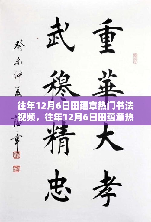 往年12月6日田蕴章热门书法视频深度解析与介绍