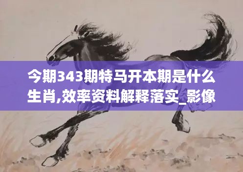 今期343期特马开本期是什么生肖,效率资料解释落实_影像版1.590