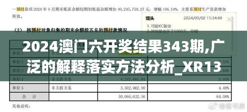 2024澳门六开奖结果343期,广泛的解释落实方法分析_XR13.969