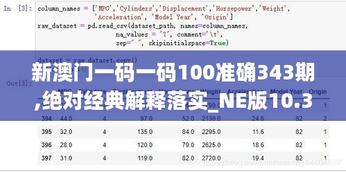 新澳门一码一码100准确343期,绝对经典解释落实_NE版10.348