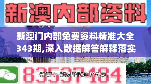 新澳门内部免费资料精准大全343期,深入数据解答解释落实_领航款3.396