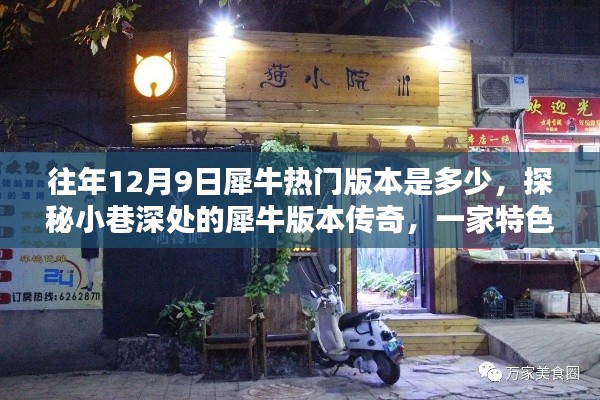 探秘12月9日犀牛热门版本，小巷深处的传奇与特色小店的隐藏魅力