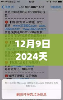 12月9日2024天天彩全年免费资料,澳门最准一码一码揭秘_Q5.629