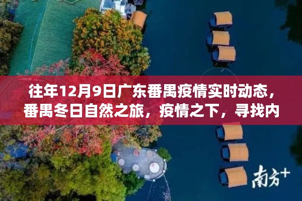 广东番禺疫情实时动态下的冬日自然之旅，寻找内心的绿洲