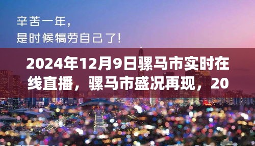 骡马市盛况再现，2024年12月9日实时在线直播全记录