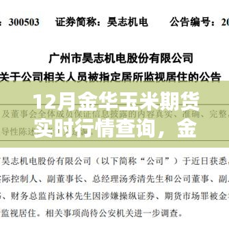 金华玉米期货行情解析，小玉米背后的温情故事与实时动态