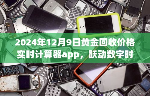 跃动数字时代，黄金回收价格实时计算器app，探索之旅与成长奇迹（2024年12月9日）