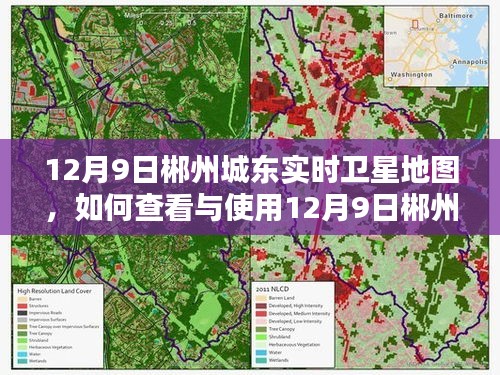 12月9日郴州城东实时卫星地图使用指南，查看与操作步骤