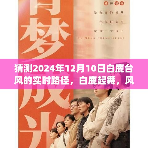 『白鹿台风预测，风云变幻中的起舞之路，拥抱未来的自信与成就感』