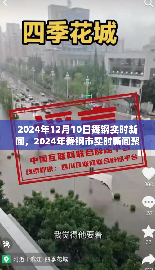 2024年舞钢市最新实时新闻聚焦