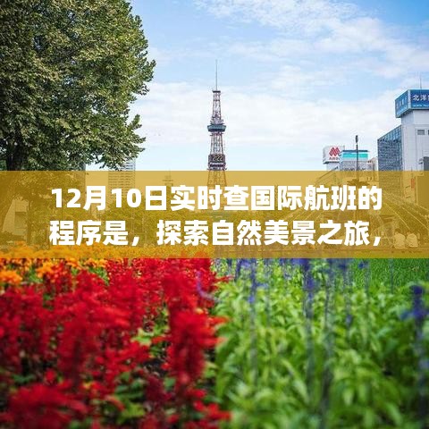 揭秘实时国际航班程序，带你探索自然美景之旅，体验内心的宁静与喜悦