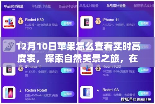 探索自然美景之旅，苹果设备查看实时高度表指南，寻找内心的平和与宁静（12月10日）