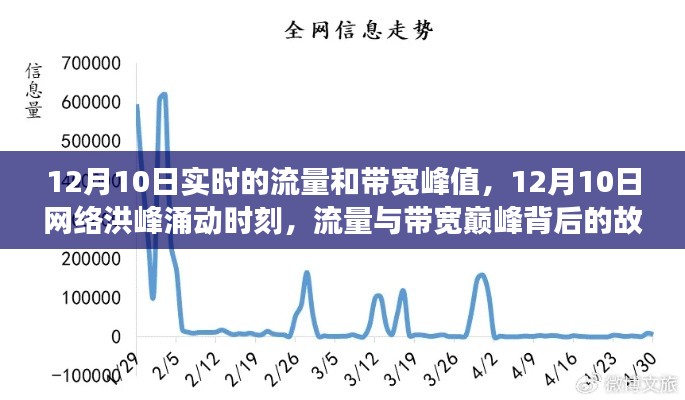 鸟骇鼠窜 第3页