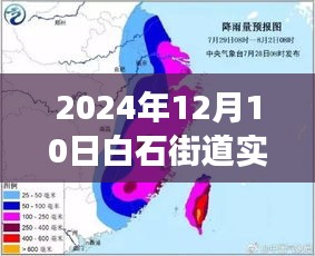 白石街道疫情下的心灵之旅，寻找内心的宁静与力量在特殊时期的实时疫情观察（2024年12月10日）