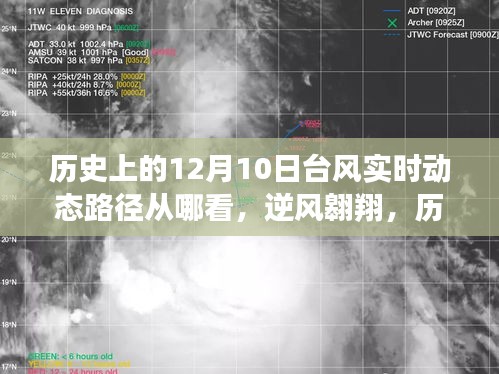 历史上的台风动态路径追踪与成长之路，逆风翱翔的历程