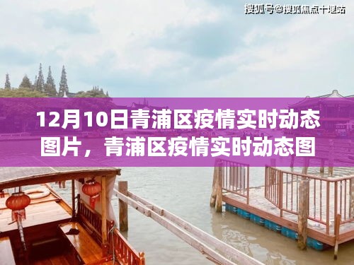 青浦区疫情实时动态图片分析，多维度视角下的疫情观察（12月10日）