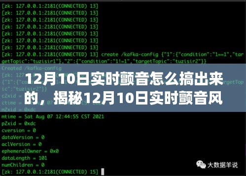 揭秘12月10日实时颤音风潮，诞生背景、事件与领域地位探索