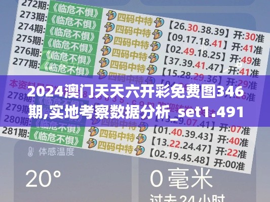 2024澳门天天六开彩免费图346期,实地考察数据分析_set1.491