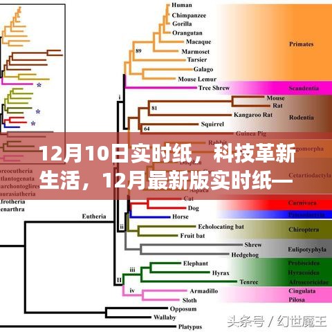 革新科技，实时纸开启未来交互体验新纪元