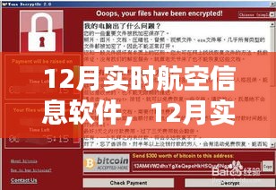 12月实时航空信息软件使用指南及步骤解析