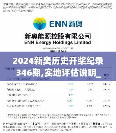 2024新奥历史开桨纪录346期,实地评估说明_Notebook10.902